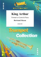 King Arthur Standard