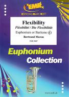 Flexibility Download