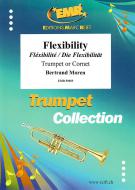 Flexibility Download