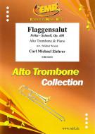 Flaggensalut Download