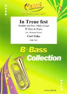Steadfast And True Download