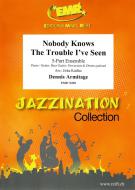 Nobody Knows The Trouble I've Seen Download
