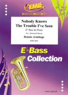 Nobody Knows The Trouble I've Seen Download