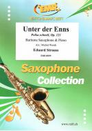 Unter der Enns Download