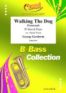 Walking The Dog Download