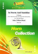 In Storm And Sunshine Standard