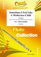 Sometimes I Feel Like A Motherless Child Standard