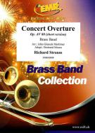 Ouverture da concerto su. AV 80 Download