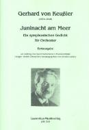 Juninacht am Meer 
