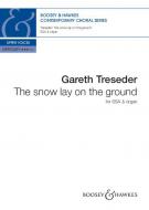 The snow lay on the ground 