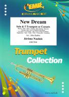 New Dream Standard
