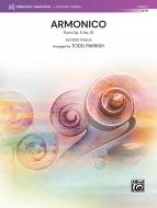 Armonico Standard
