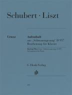 Luogo di riposo da "Schwanengesang" D 957 