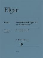 Serenata in mi minore op. 20 - Set di parti 