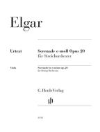 Serenata in mi minore op. 20 - Viola 
