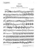 Gradus ad Symphoniam Livello intermedio 2 Download