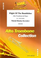 Volo del calabrone Download