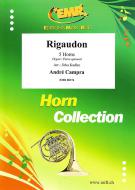 Rigaudon Download