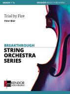 Trial by Fire Standard
