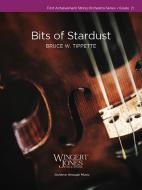 Bits of Stardust Standard