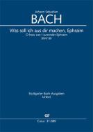 Was soll ich aus dir machen, Ephraim Download