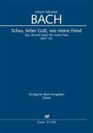 See, dearest God, the many foes BWV 153 Download