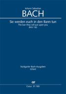 Sie werden euch in den Bann tun (II) Download