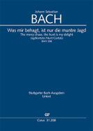 The merry chase, the hunt is my delight BWV 208 Download