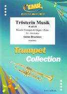 Musica consolatrice WAB 88 Standard