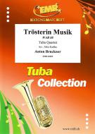 Musica consolatrice WAB 88 Download
