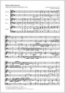Dona nobis pacem BWV 232, 26 Download