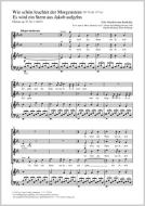 Es wird ein Stern aus Jakob aufgehn Download