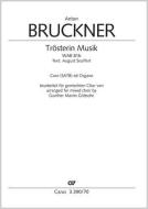 Trösterin Musik Download
