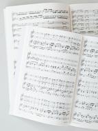 Es wird scho glei dumpa Download