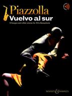 Vuelvo al sur 