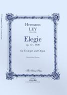 Elegia Standard