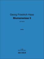 Blumenwiese 5 