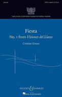 Visiones del Llano 