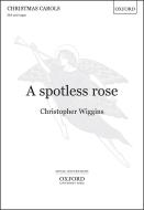 A spotless rose 