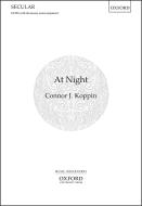 At Night 