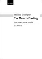 The Moon is Flashing 