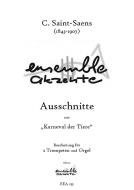 Suite Download