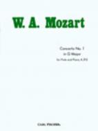 Concerto No. 1 in G Major KV313 