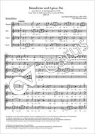 Benedictus e Agnus Dei JWV 57 Download