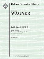 Die Walkuere: Atto III, Sc. 3: L'addio di Wotan e la scena del fuoco magico 