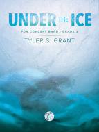 Under the Ice Standard