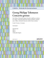 Concerto in si minore TWV 53:h1 - Parti soliste 