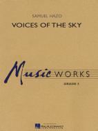 Voices of The Sky 