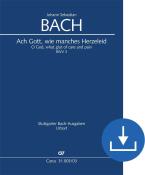 Oh Dio, quanti dolori di cuore BWV 3 Download