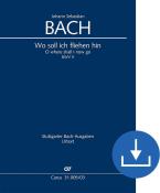 Dove fuggirò BWV 5 Download